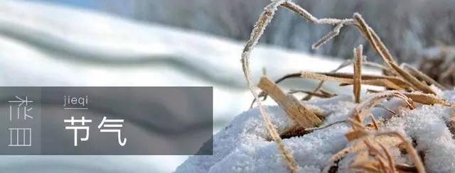 春分花胶 2026年春记花胶鸡