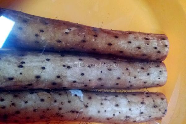 春分花胶 2026年春记花胶鸡