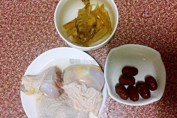 春分花胶 2026年春记花胶鸡