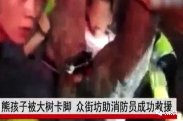 “德国最蠢银行”又犯错：这次转错50亿欧元！