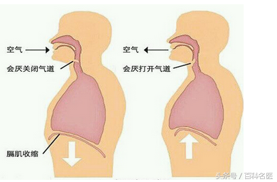 胆汁反流性胃炎痛不欲生？可能是你用错方法了 教你4招如何根治