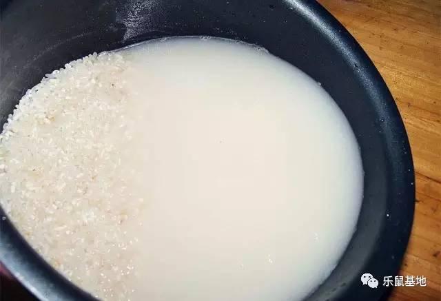 花胶怎么防虫 2026年花胶防虫能放花椒八角吗