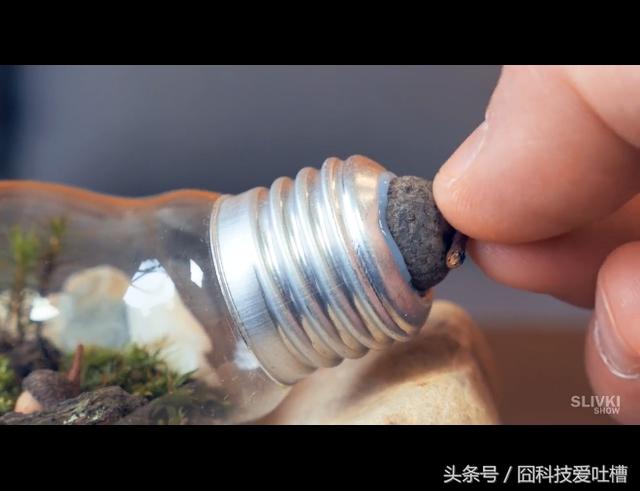 DIY制作简易的生态小球