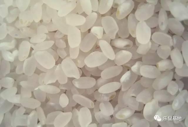 花胶怎么防虫 2026年花胶防虫能放花椒八角吗