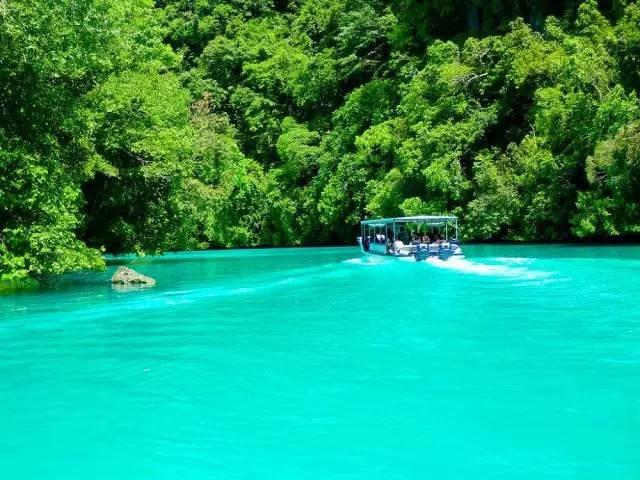 震撼首发 帕劳 S$2580/人起，粉色水母湖不再遥远