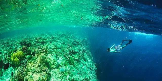 震撼首发 帕劳 S$2580/人起，粉色水母湖不再遥远