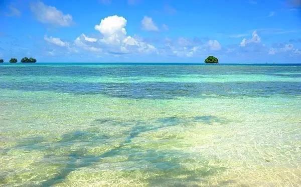 震撼首发 帕劳 S$2580/人起，粉色水母湖不再遥远