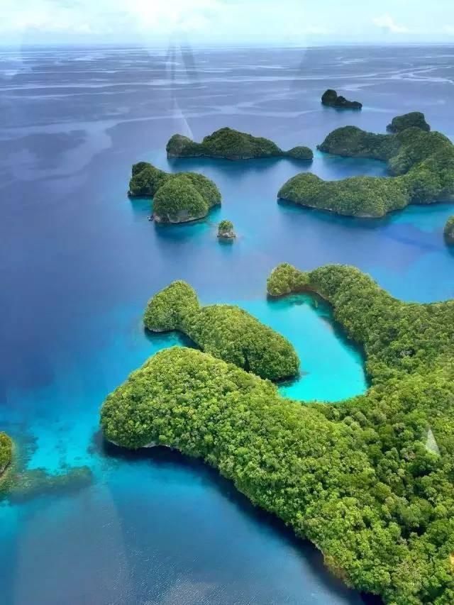 震撼首发 帕劳 S$2580/人起，粉色水母湖不再遥远