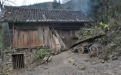 什么是农村五保户？申请需满足哪些条件