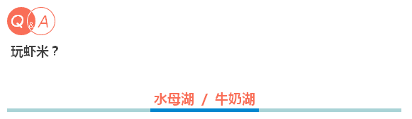 震撼首发 帕劳 S$2580/人起，粉色水母湖不再遥远