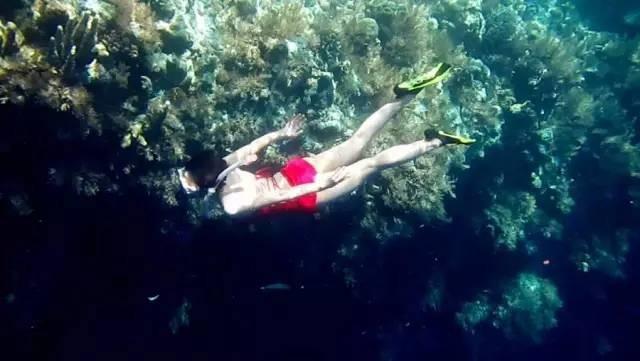 震撼首发 帕劳 S$2580/人起，粉色水母湖不再遥远