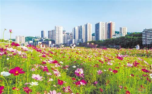綦江区城乡建设网站建设（突出改善人居环境 提升市民素养 綦江城乡协调发展 建设美好家园）