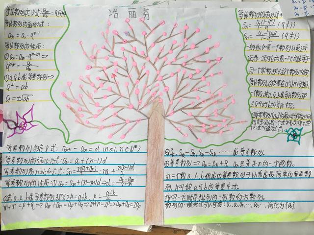 高一学生做的数学手抄报，数列知识这样总结，学起来容易多了