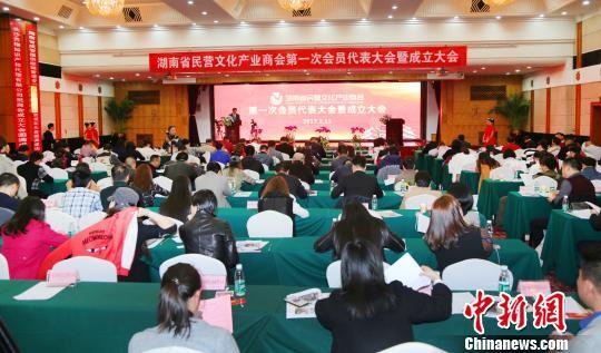 商会网站建设（湖南省民营文化产业商会会长打造优质民营文化平台）