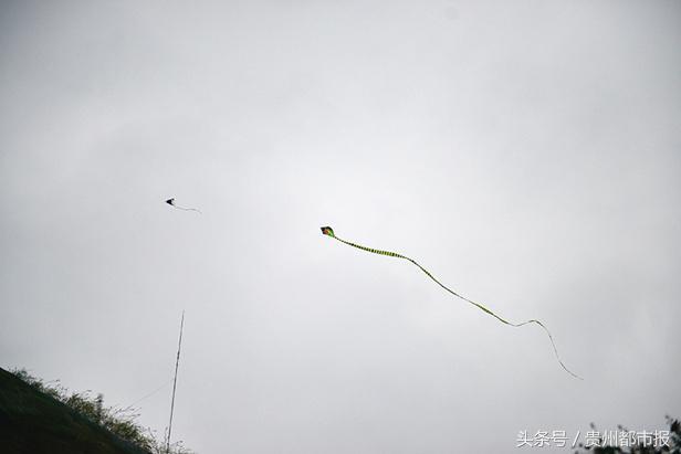 神庙逃亡矿工版（飞在天上的贪食蛇）