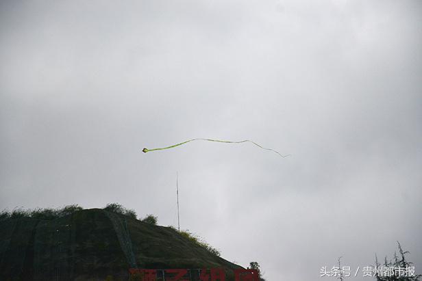 飞在天上的“贪食蛇”