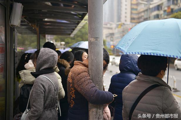 飞在天上的“贪食蛇”