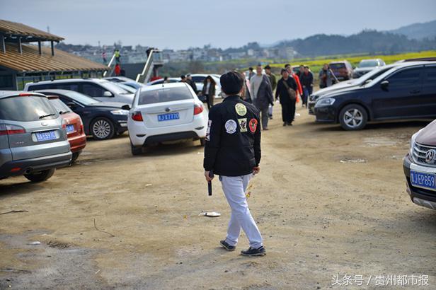 飞在天上的“贪食蛇”