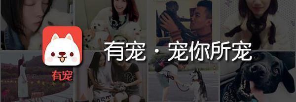 科普：网络神兽“草泥马”是什么动物？