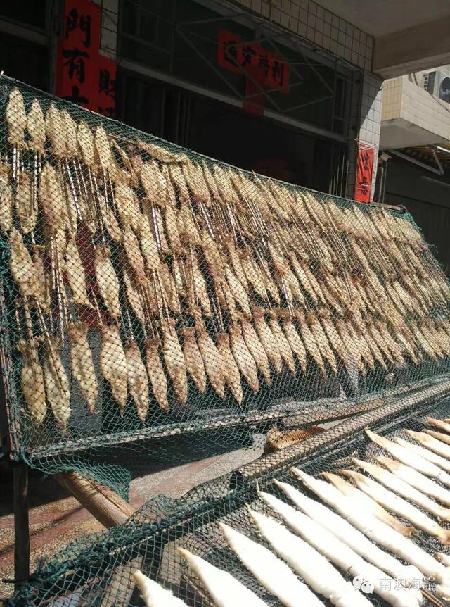 阳江花胶楼 2026年阳江花店哪里有 阳江花胶楼 2026年阳江花店哪里有