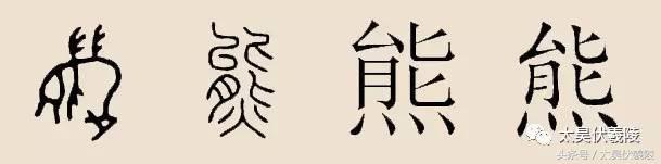 《姓氏寻宗》熊姓——历史来源