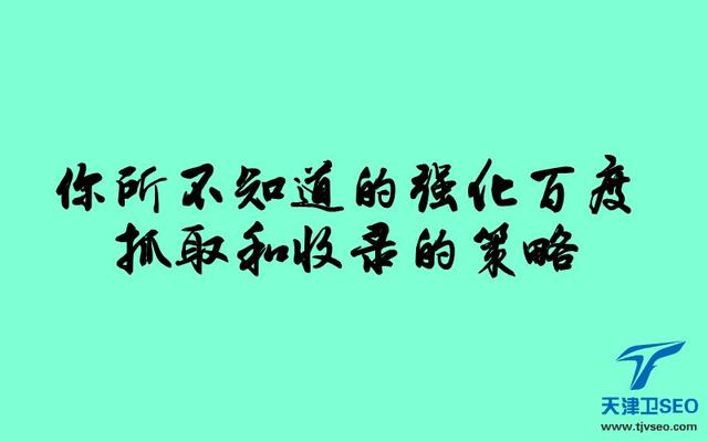 天津怎么排名seo（天津SEO你所不知道的提高百度抓取和收录的策略）