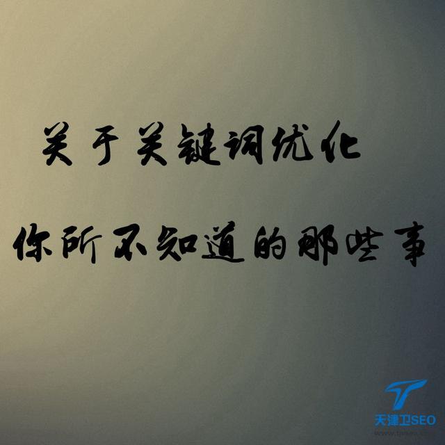 天津卫SEO:关于关键词优化策略你所不知道的那些事