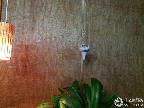 单身狗的陋室改装2.0——室内优化and小庭院的设计与施工