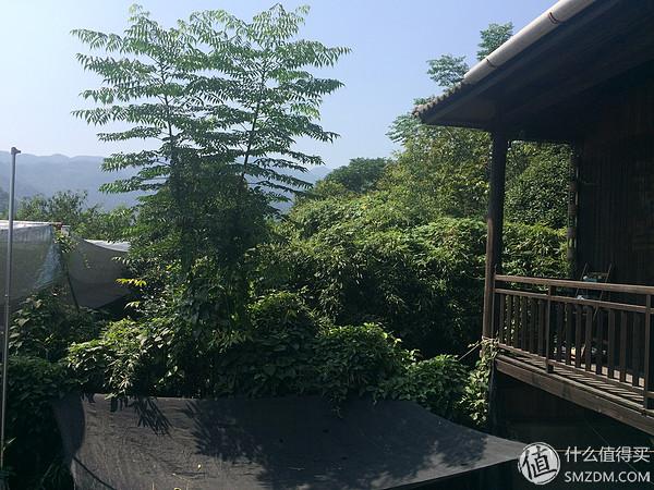 单身狗的陋室改装2.0——室内优化and小庭院的设计与施工