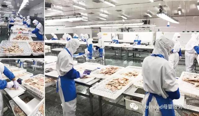 深海鳕鱼的功效与作用 2026年深海鳕鱼的功效与作用及禁忌