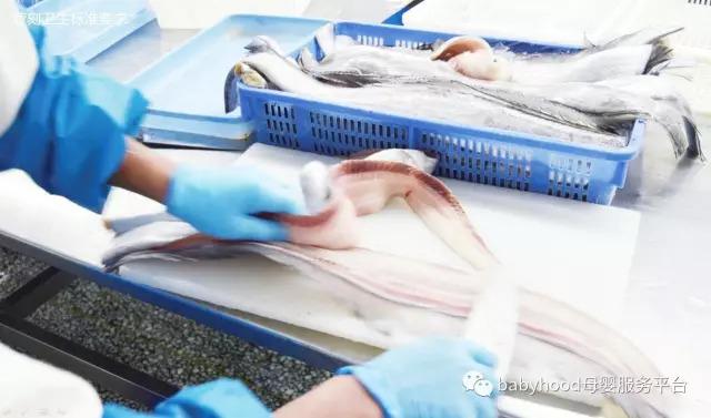 深海鳕鱼的功效与作用 2026年深海鳕鱼的功效与作用及禁忌