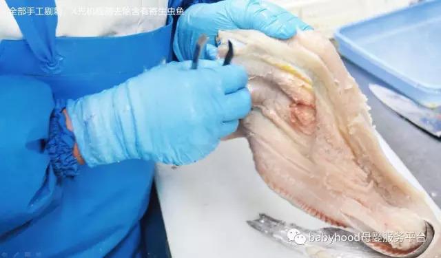 深海鳕鱼的功效与作用 2026年深海鳕鱼的功效与作用及禁忌