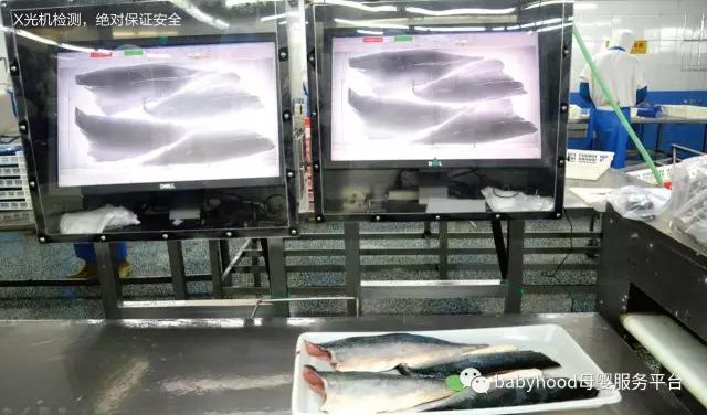 深海鳕鱼的功效与作用 2026年深海鳕鱼的功效与作用及禁忌