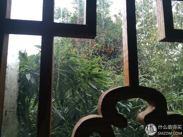 单身狗的陋室改装2.0——室内优化and小庭院的设计与施工