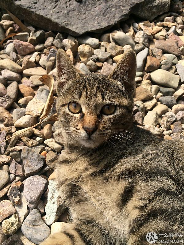 单身狗的陋室改装2.0——室内优化and小庭院的设计与施工