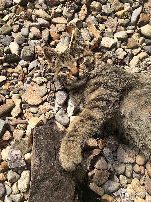 单身狗的陋室改装2.0——室内优化and小庭院的设计与施工