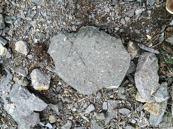 单身狗的陋室改装2.0——室内优化and小庭院的设计与施工