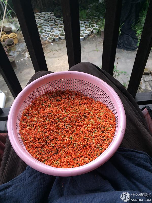 单身狗的陋室改装2.0——室内优化and小庭院的设计与施工