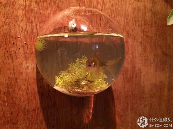 单身狗的陋室改装2.0——室内优化and小庭院的设计与施工