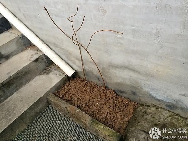 单身狗的陋室改装2.0——室内优化and小庭院的设计与施工