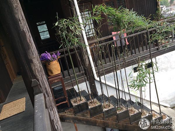 单身狗的陋室改装2.0——室内优化and小庭院的设计与施工