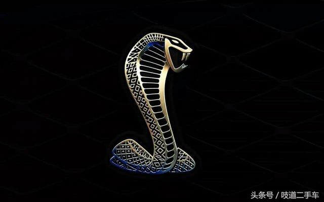 25万的总统版神车，保值率不如3万块的德国小车