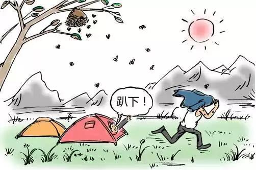 救急手册：被蜜蜂蛰了怎么办？