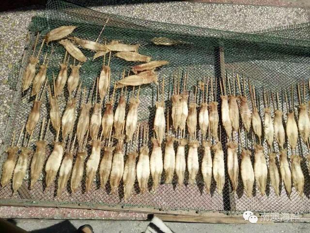 阳江花胶楼真假 2026年阳江白花胶 阳江花胶楼真假 2026年阳江白花胶