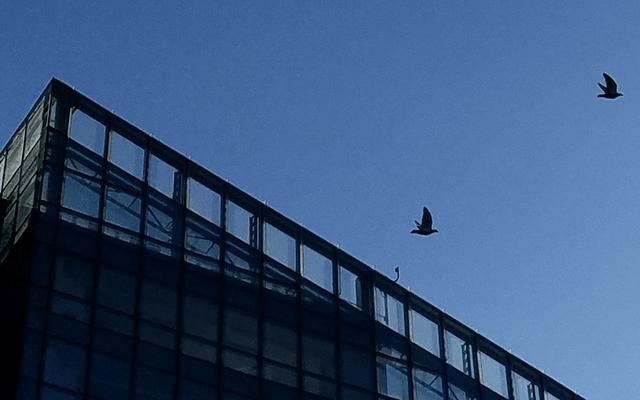 双曲面屏新巅峰 三星Galaxy S7 edge评测