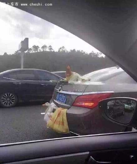 君越油耗问题分析_新款君越8AT变速箱_新君越2.0t油耗大吗