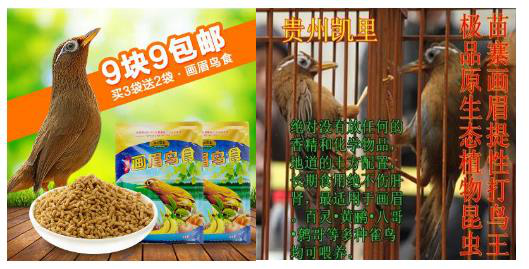 想要飙升点击率？这些优化妙招不容错过