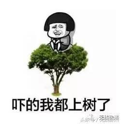 徐州这些部门的网站要被关停了，全市都有，为什么？