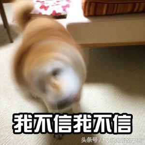 视频｜热炸了！小时候唱得挺欢的《种太阳》种成功了 谁种的你别走！