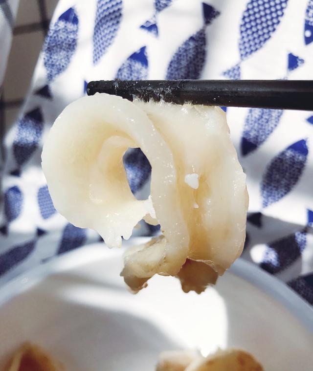 新西兰lingfish花胶 新西兰lingfish花胶价格